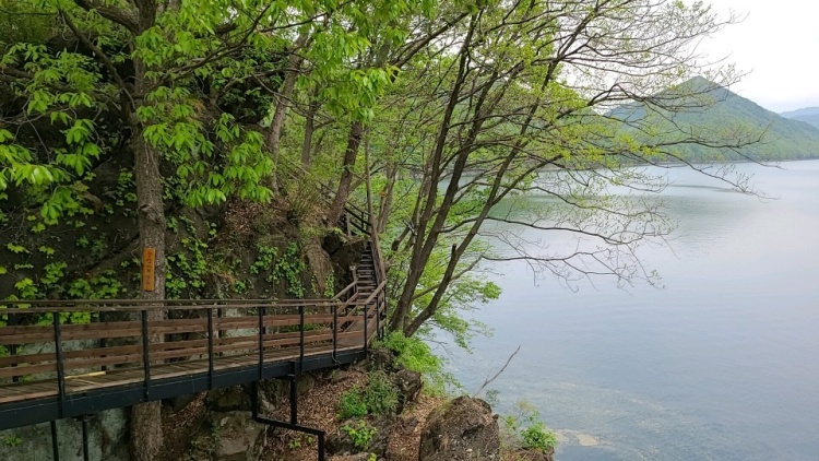가을 이국적으로 아름다운 국내 여행지 사진 맛집 포토존 가을 여행지 가볼만한곳