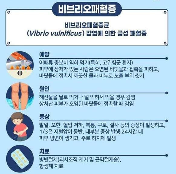 비브리오패혈증 사망자 올해 첫 발생: 치사율 50% 예방법과 고위험군 주의사항 총정리