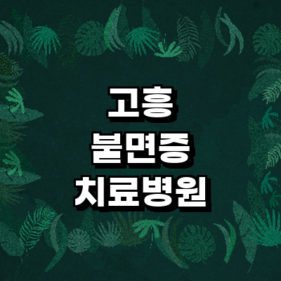 고흥군 불면증