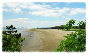 청포대해수욕장