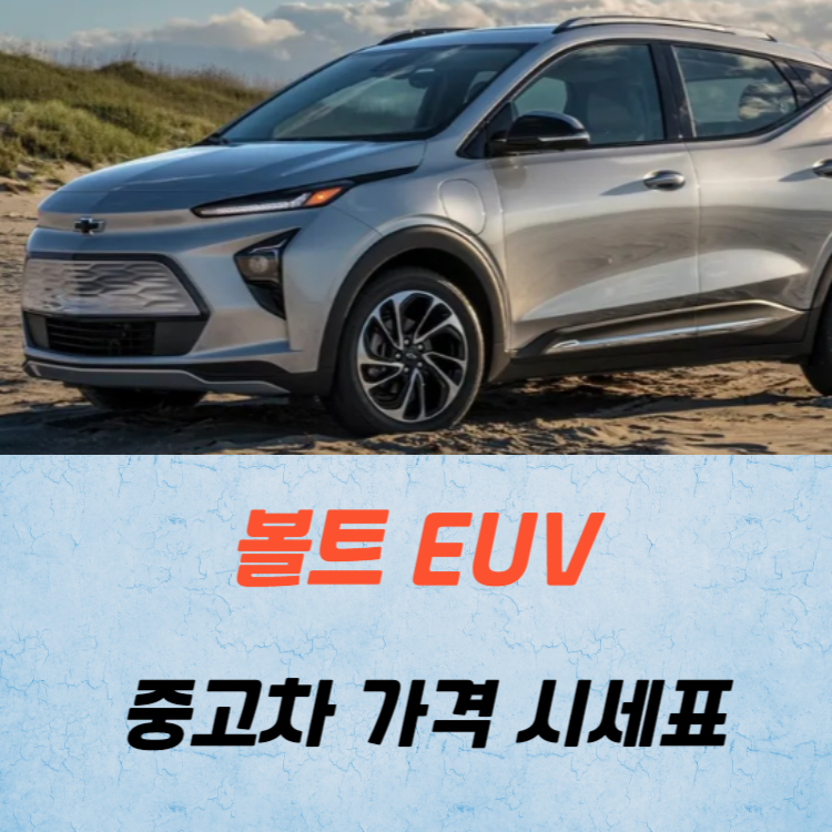 볼트 EUV 중고차 가격 시세표 24년 10월
