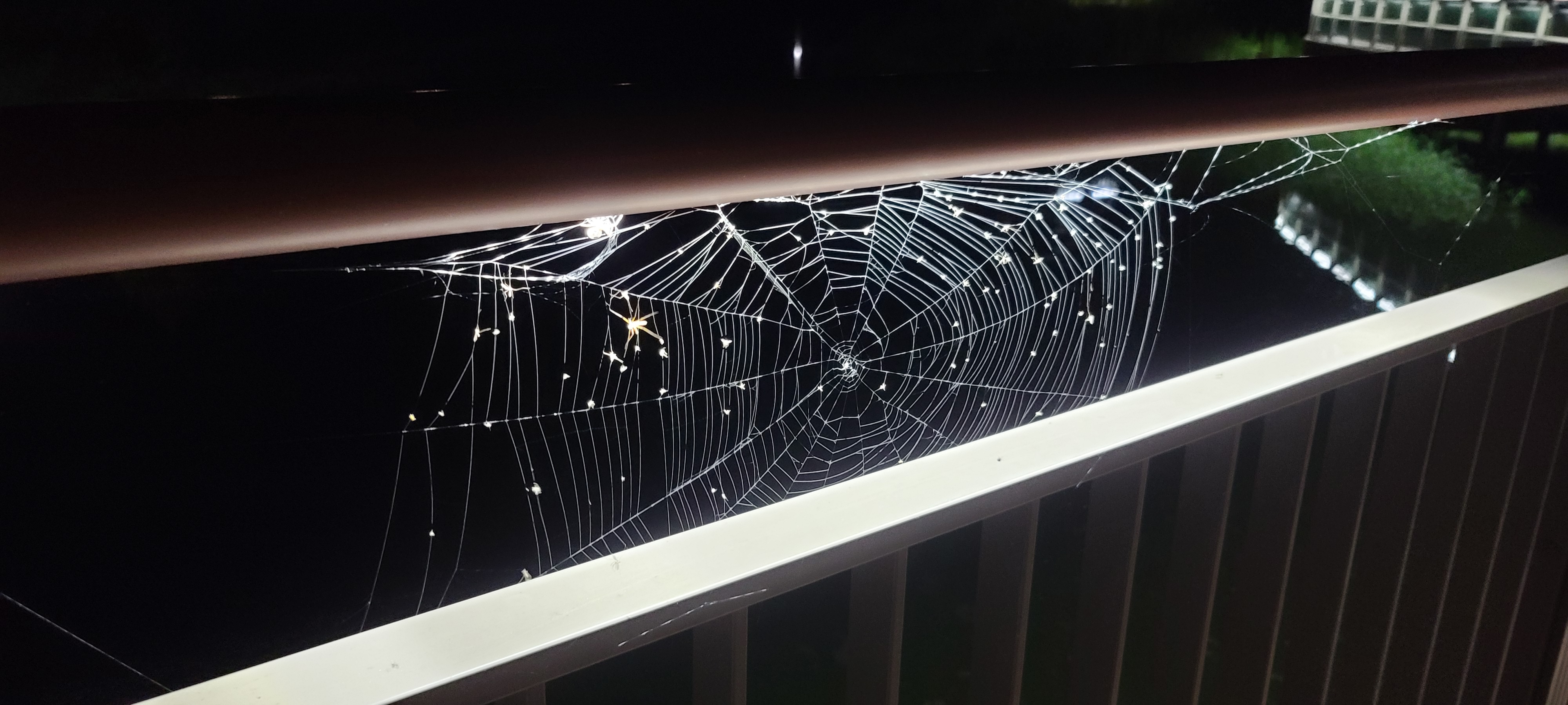 전주 가볼만한곳