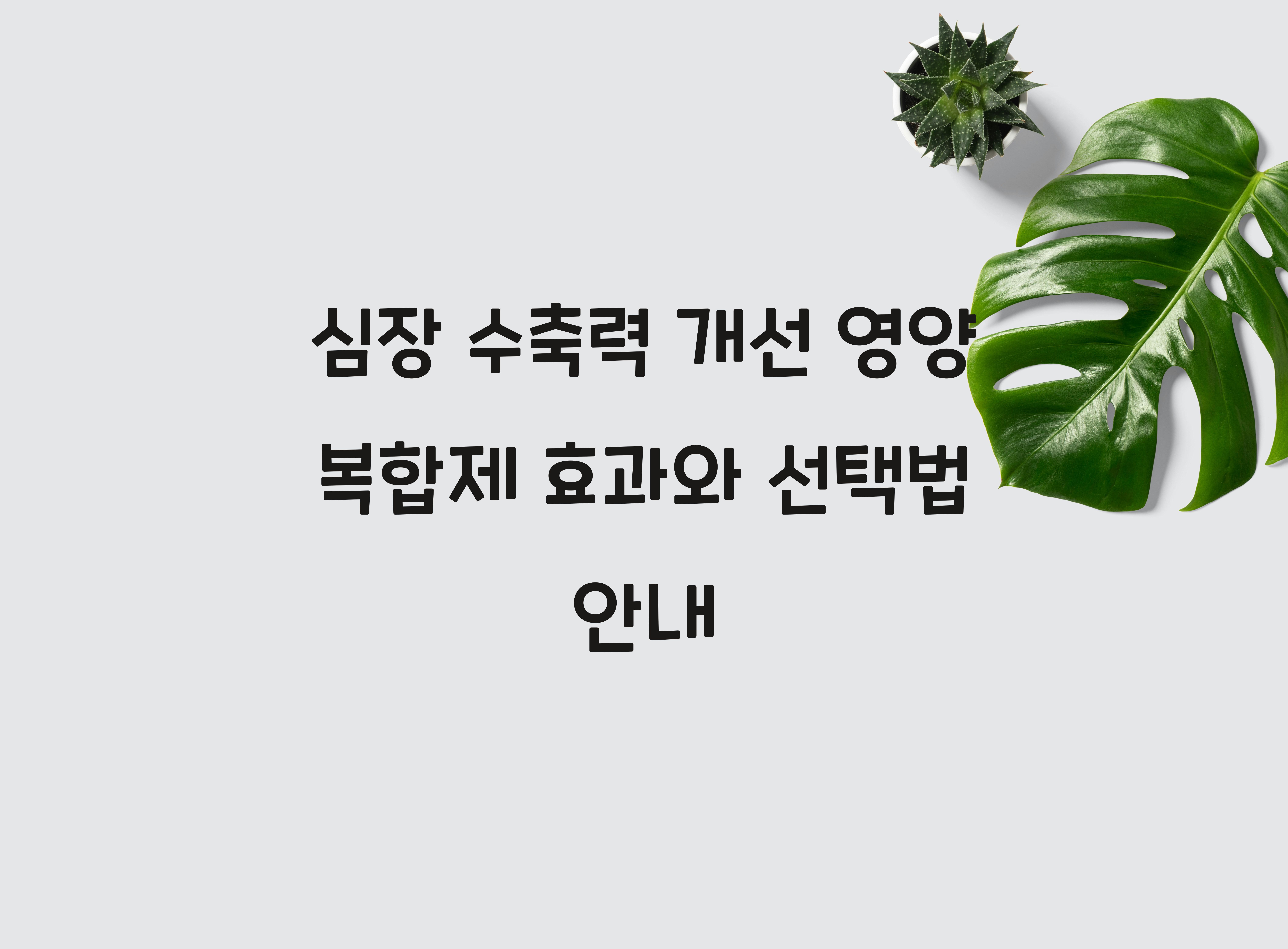 심장 수축력 개선 영양 복합제