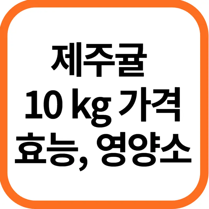 제주 귤 10kg 가격, 효능과 영양성분