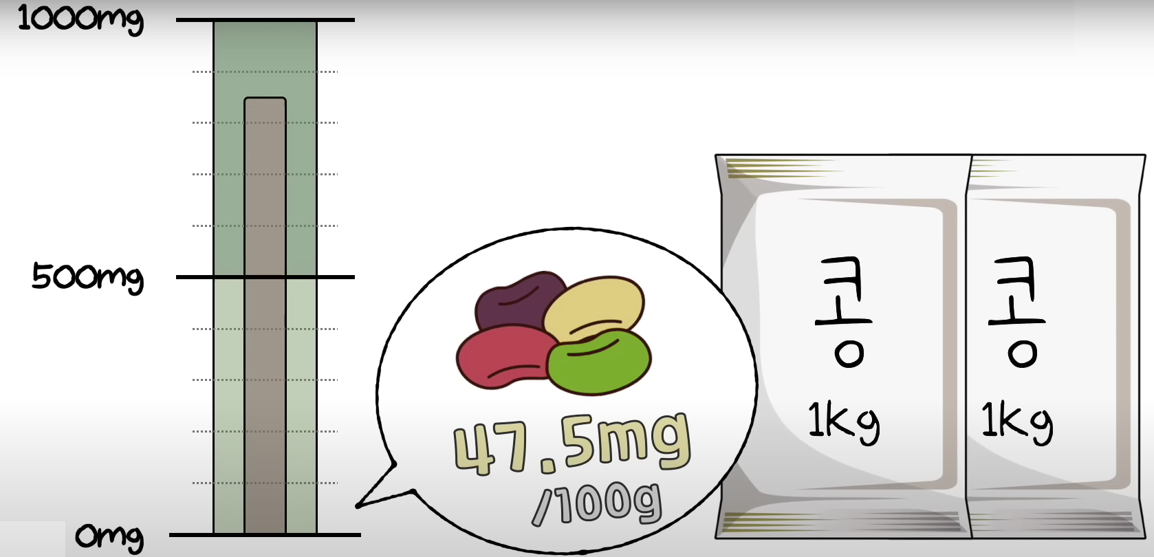 다이어트용 콩 섭취량