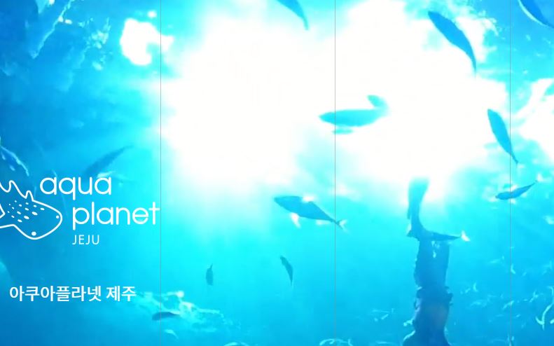 제주도-아쿠아리움