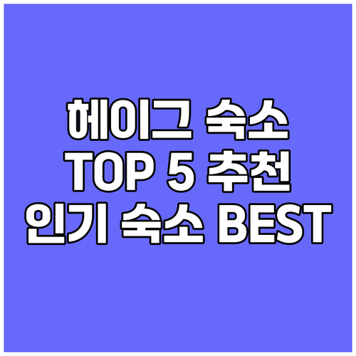 헤이그 숙소 고민 끝 TOP 5 인기