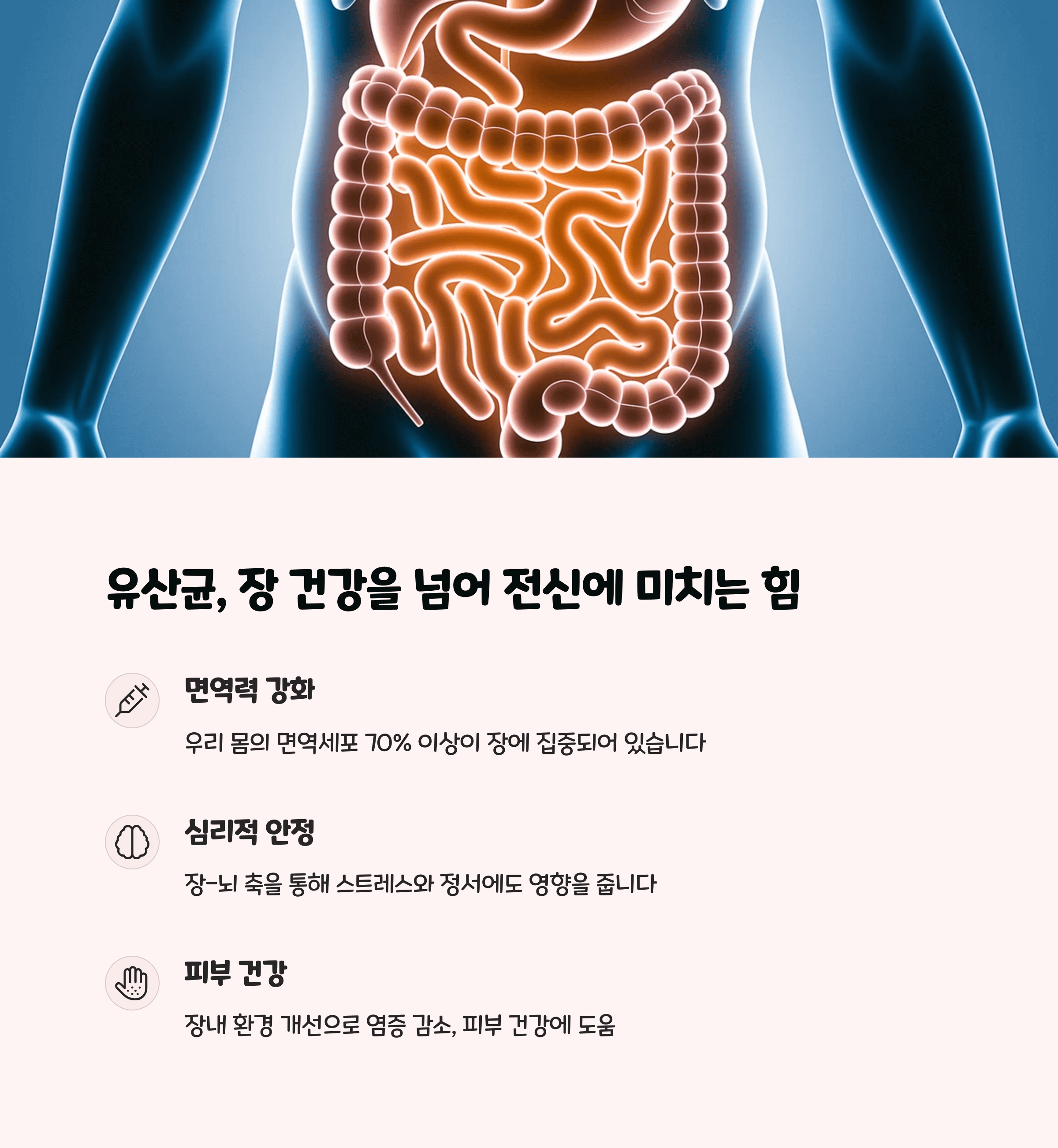 유산균 추천 순위