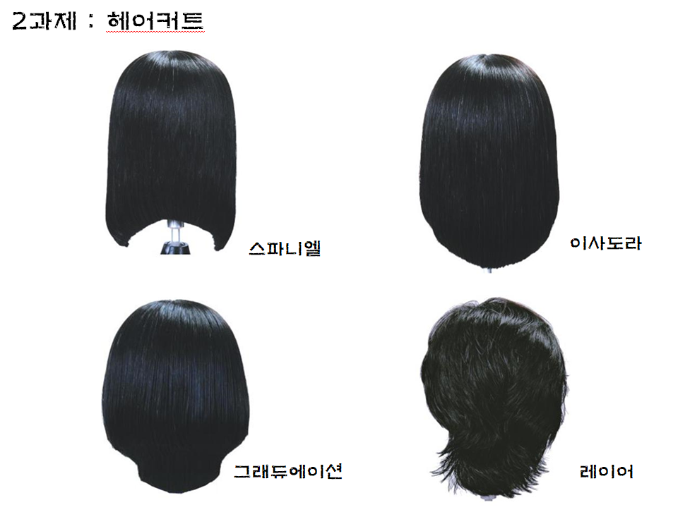 2과제시술과정