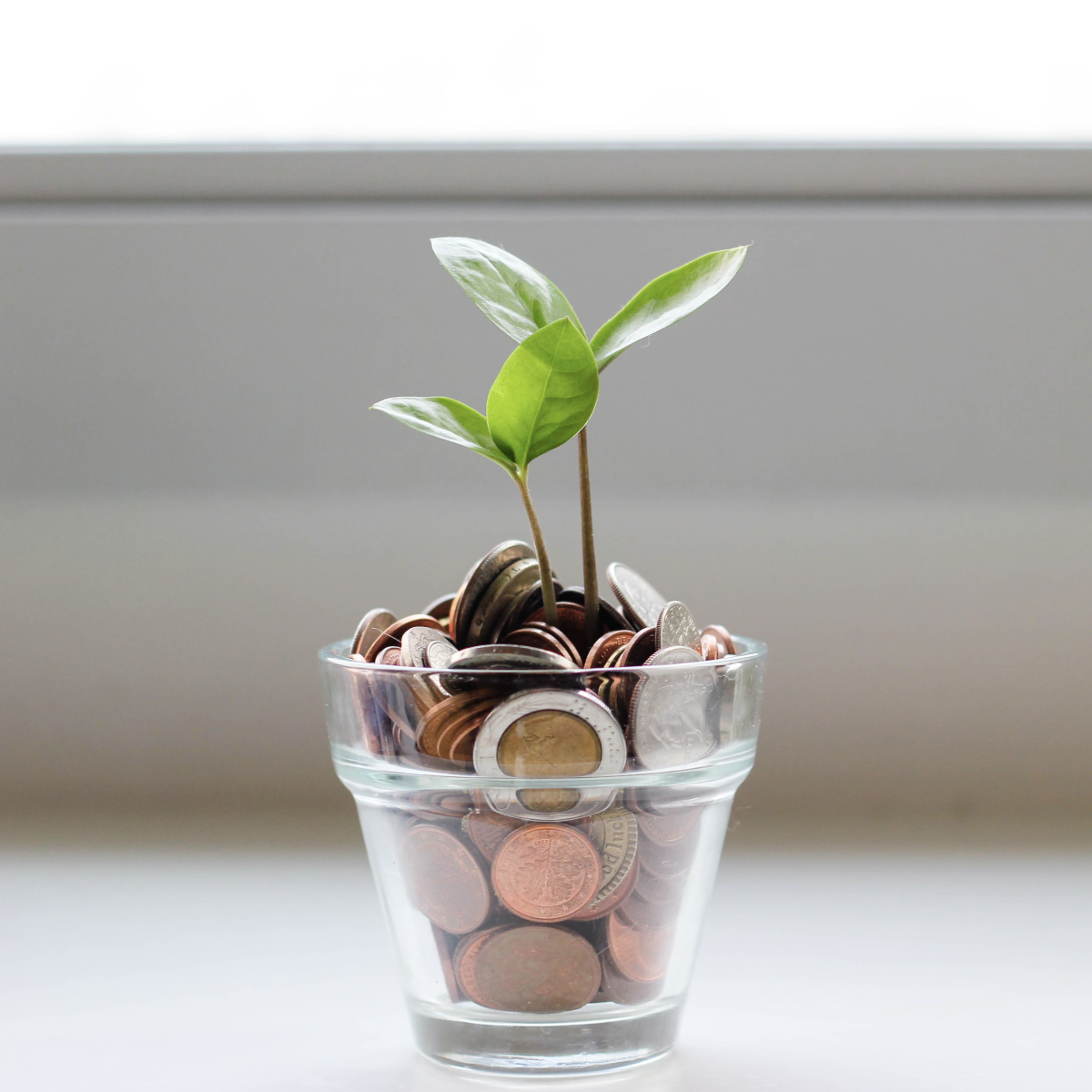 청년 내일저축계좌