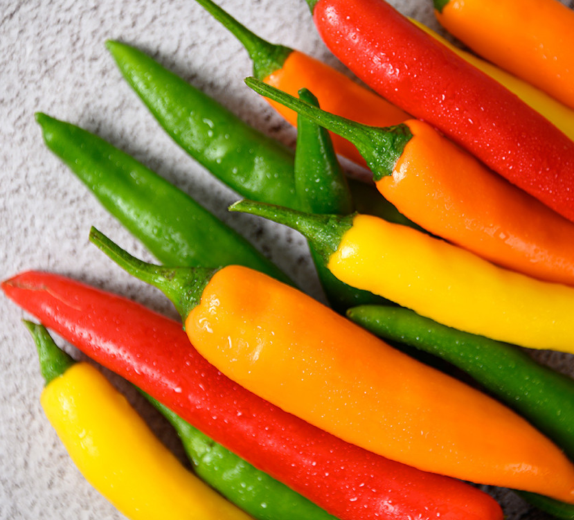 경남 진주 매운컬러 주문 방법