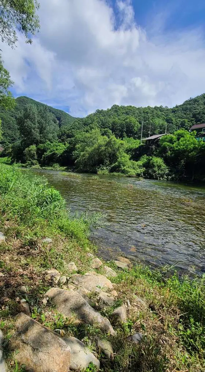 로드스타 캠핑장