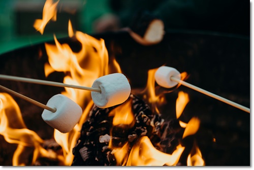 캠핑박람회 일정 수원메쎄 사전예약 무료입장