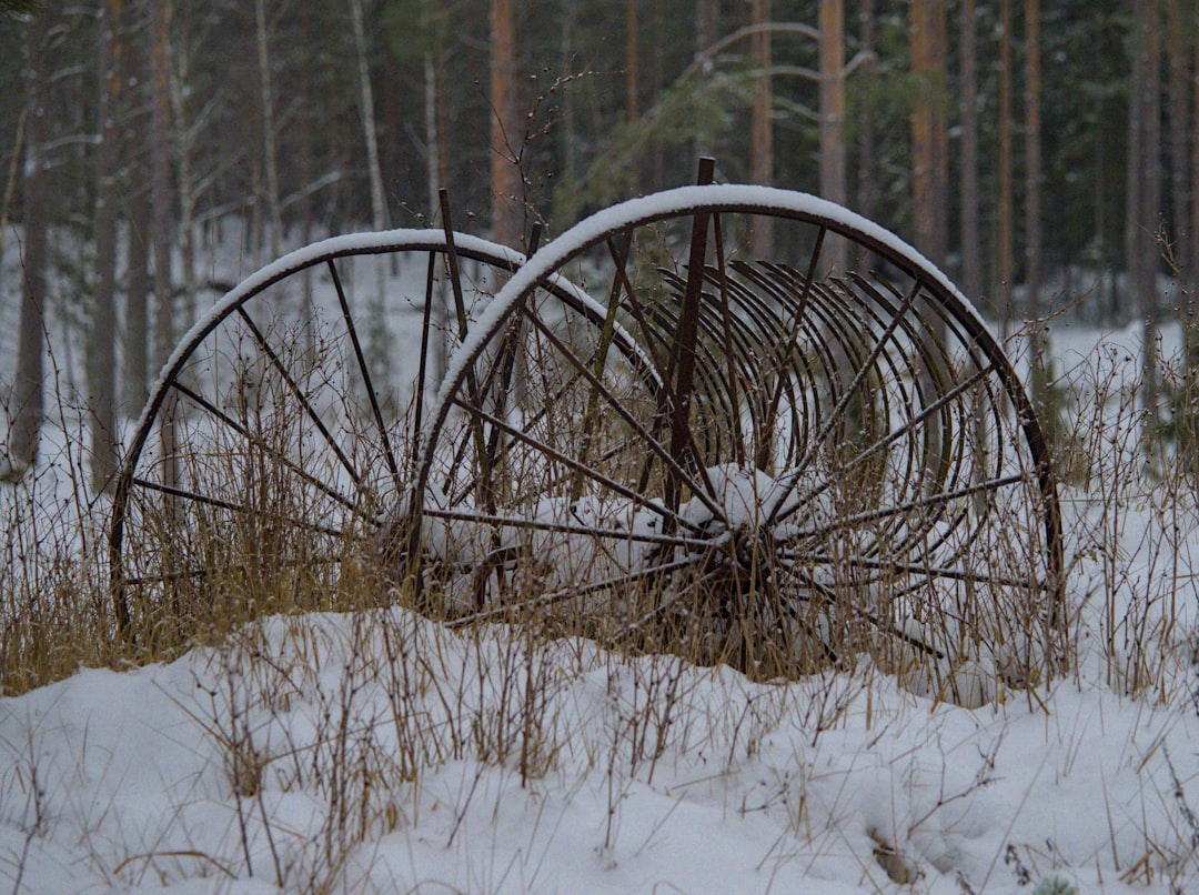 Winter tire