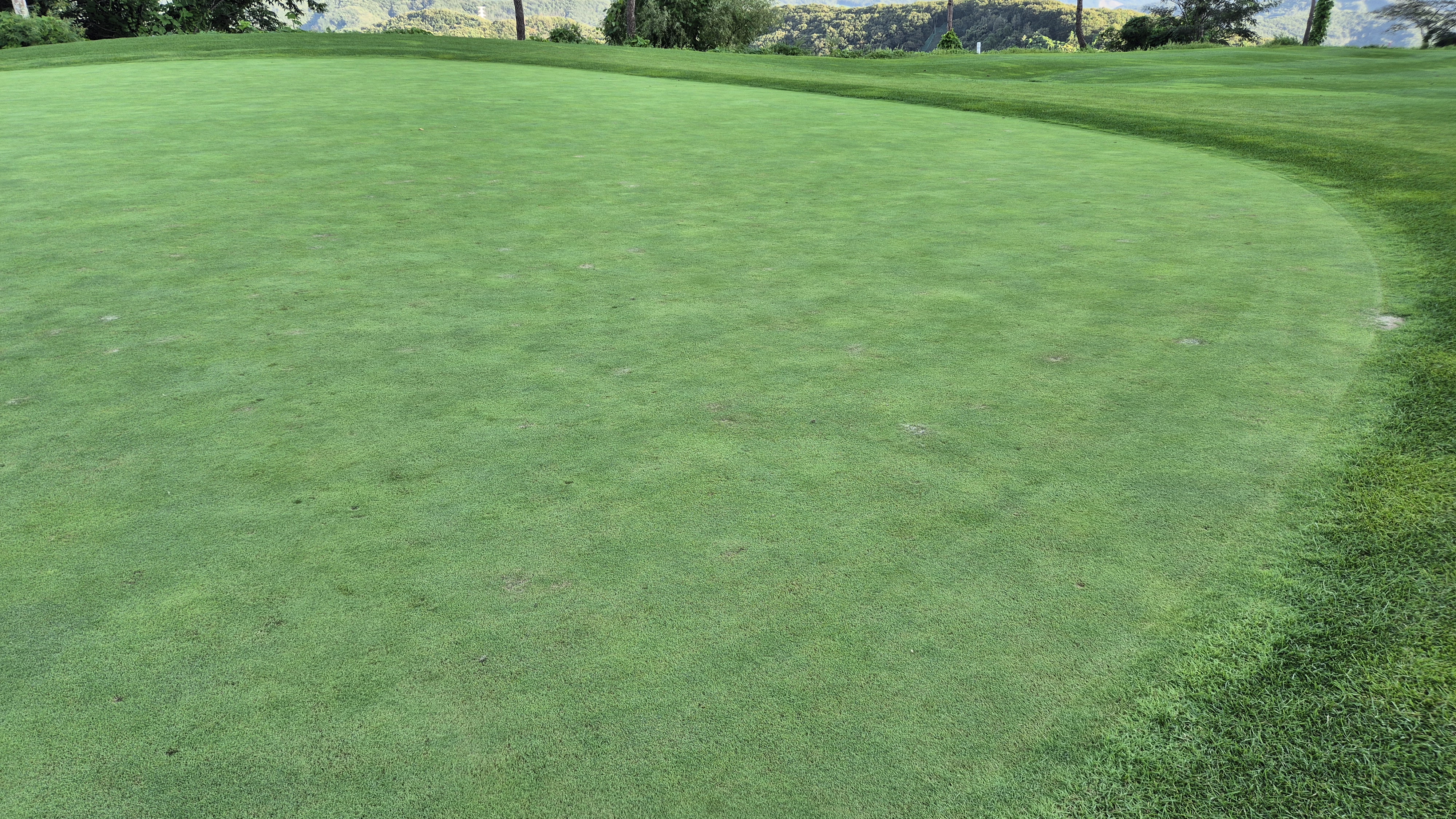 마론cc 라운드 후기