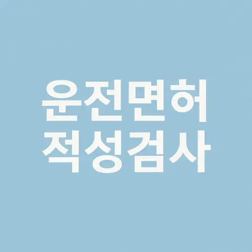 운전면허 적성검사