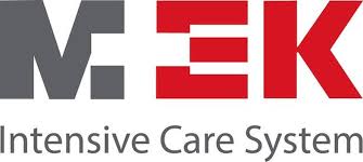 멕아이씨에스-로고