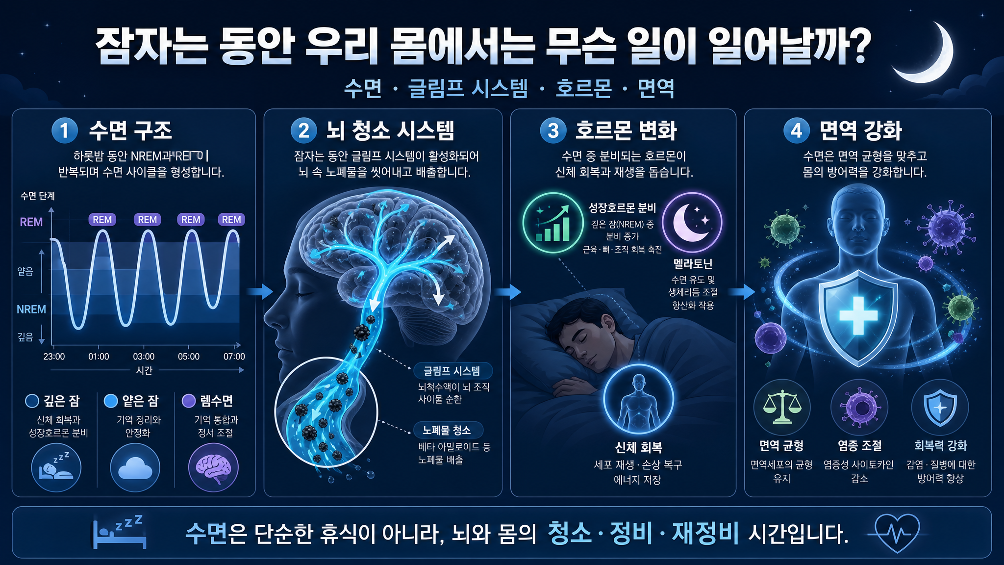 잠자는 동안 우리 돔에 어떠한 일이 일어날까?