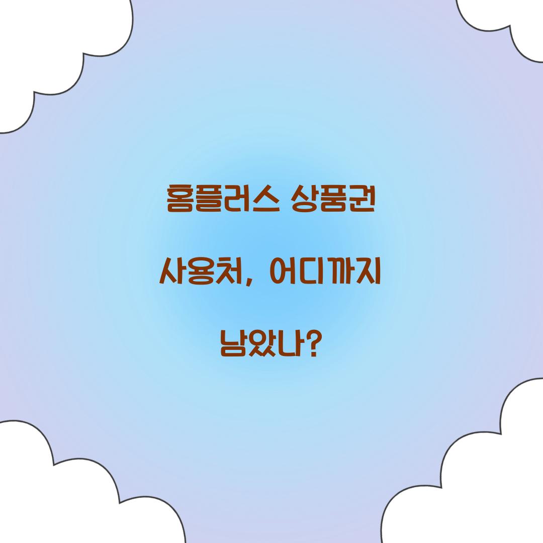 홈플러스 상품권 사용처