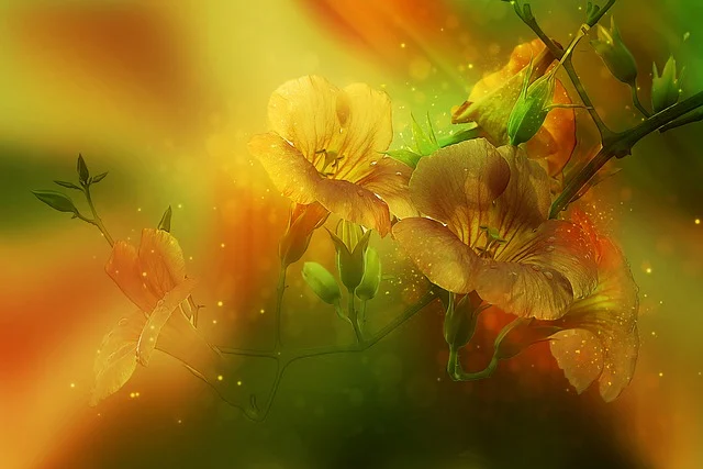 비체올린 능소화축제