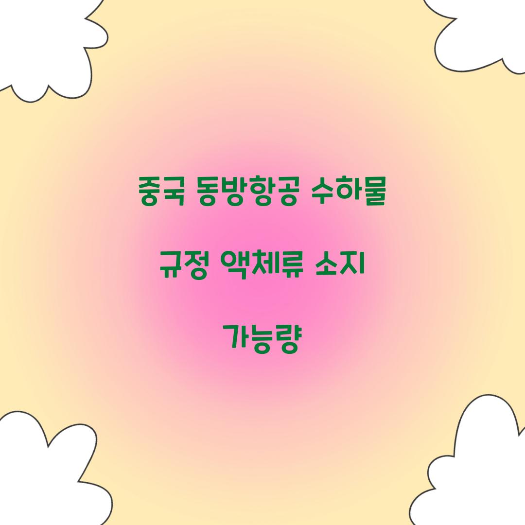 중국 동방항공 수하물 규정 액체류 소지 가능량