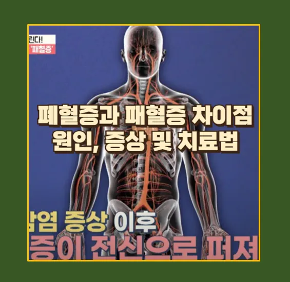 폐혈증과 패혈증 차이점 원인