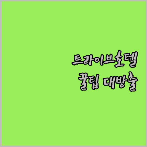 암스테르담 트라이브 호텔 200% 활..