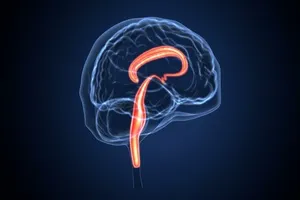 3차-신경통-치료병원