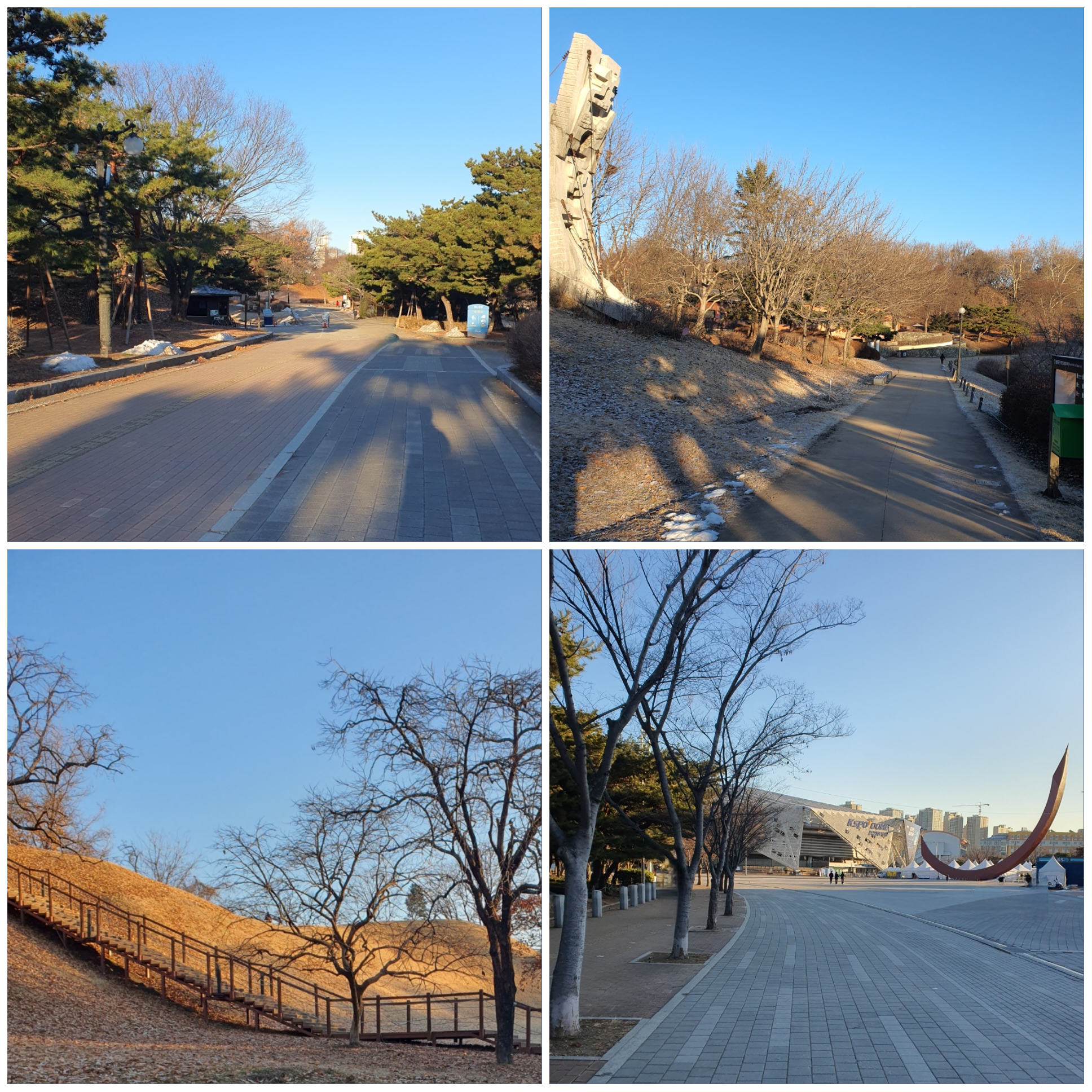 공원에서-걷기-운동은-스트레스-관리에-도움이-됩니다.