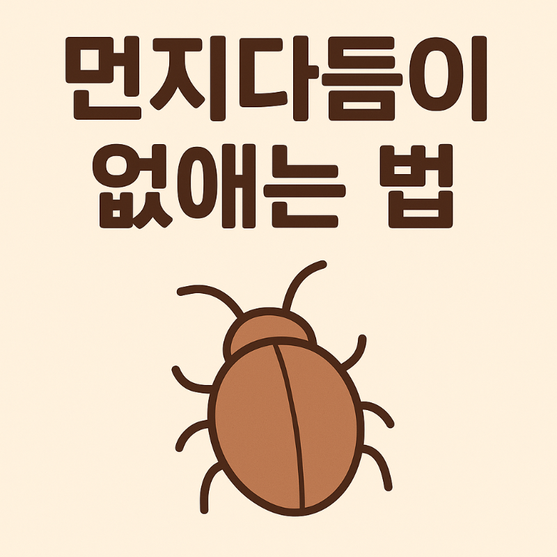 먼지다듬이없애는법
