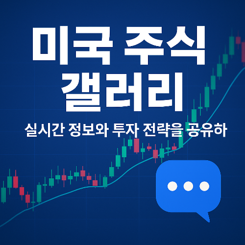 미국 주식 갤러리