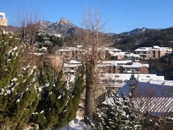 황망하다 뜻 마음 장례식 인사말 황망뜻 의미 정리 예문_7