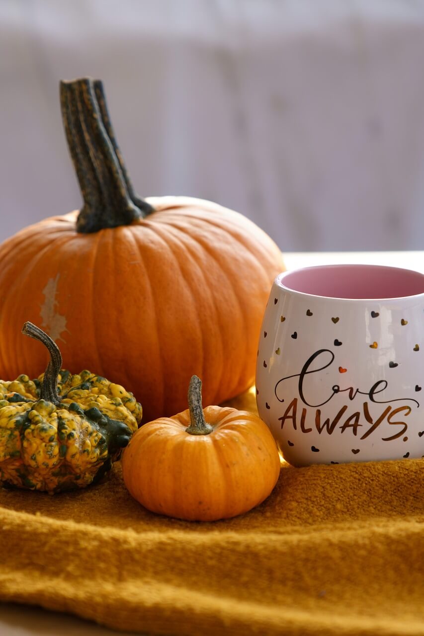 호박 팥차 효능