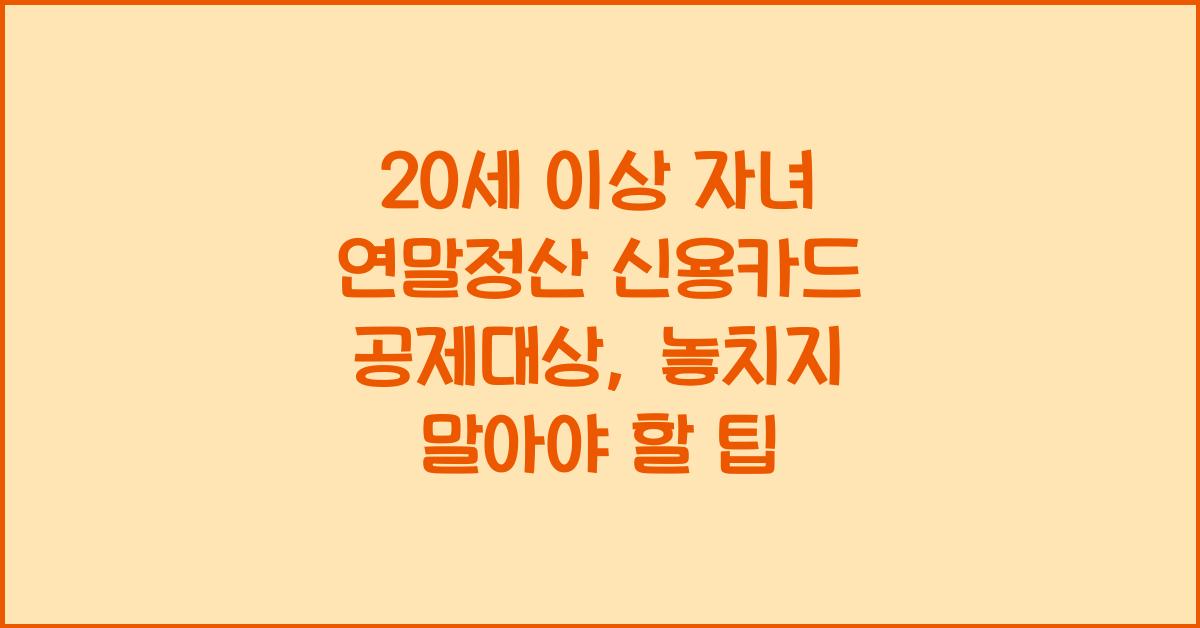 20세 이상 자녀 연말정산 신용카드 공제대상