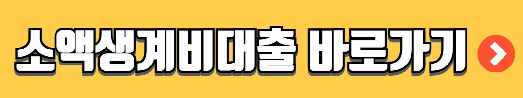 신용회복 대출 가능 정부지원대출