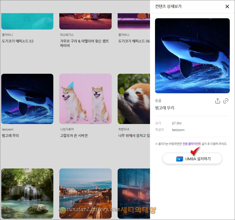 바탕 화면 라이브 배경으로 사용해 보기_3