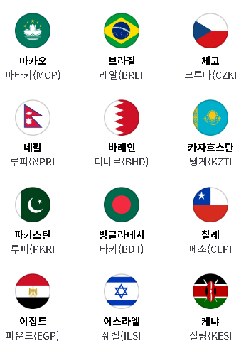 환전가능국가들