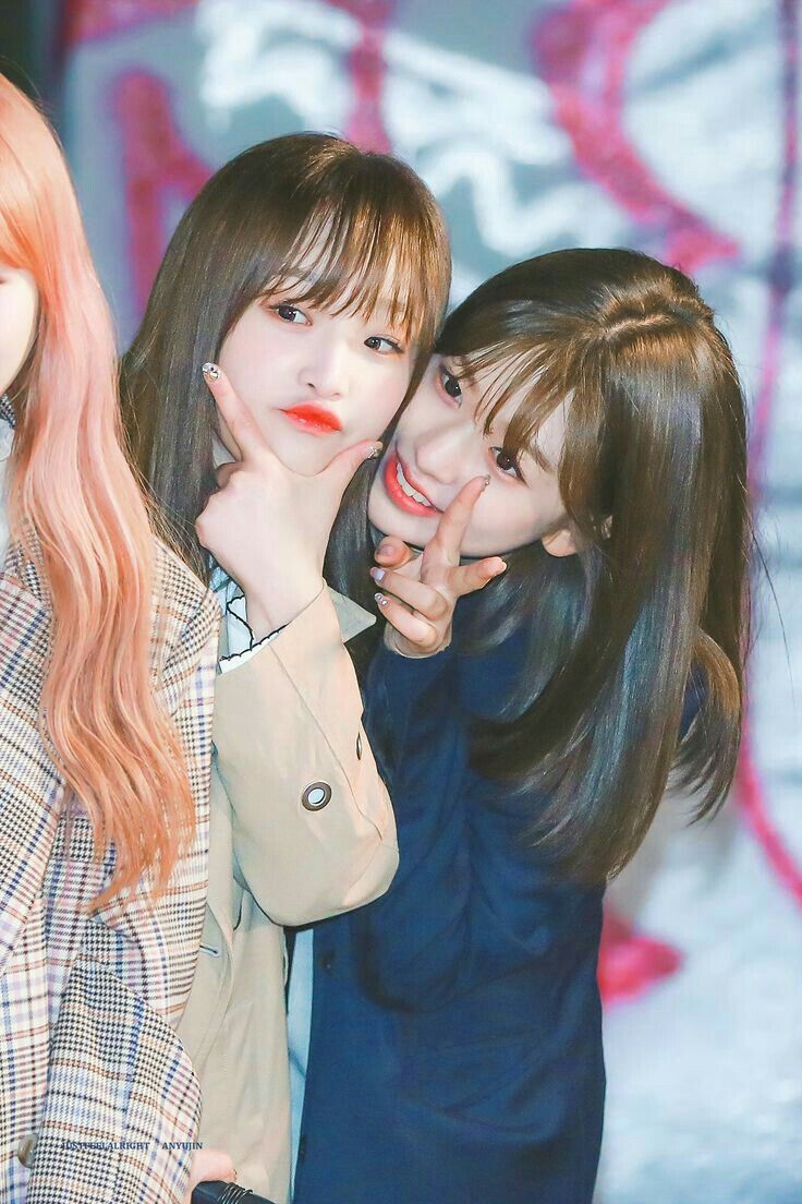 아이즈원 프로듀스48 사진 모음 아이즈원 프로듀스48 사진 모음