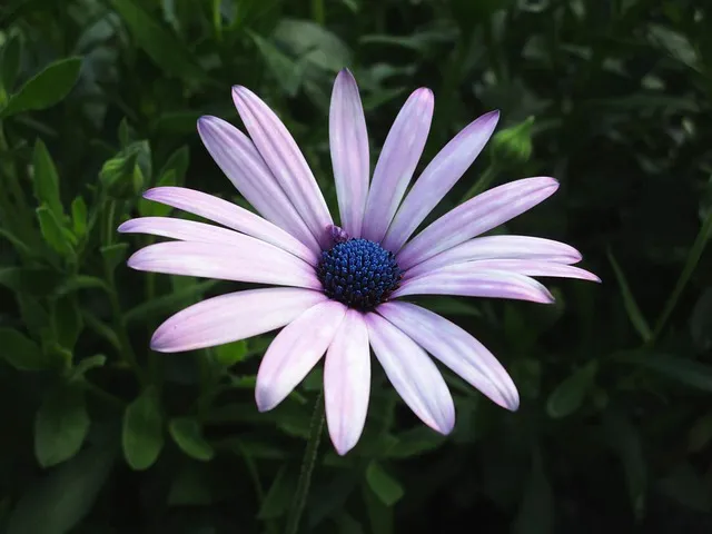 디모데후서 3장 16절 해석 - 모든 성경은 하나님의 감동으로 된 것으로_8