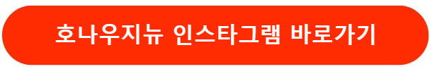 호나우지뉴인스타