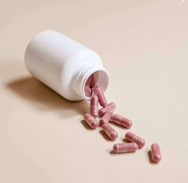 밀크씨슬 영양제 복용법 효과 하루 권장량