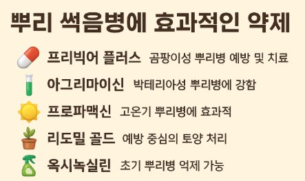 뿌리 썩음병에 효과적인 약제 사진