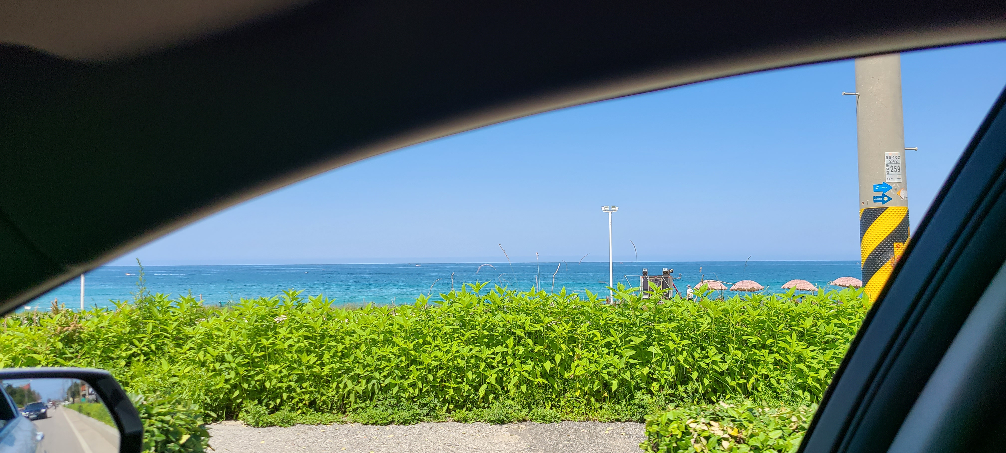 사천항주문진물회