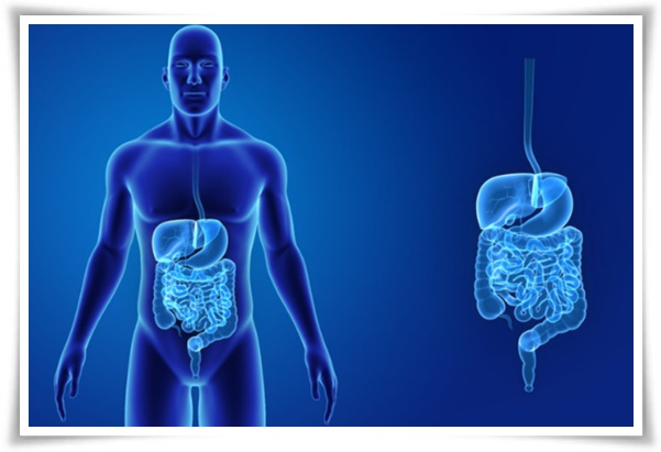 "변 색깔 건강 상태" 몸이 보내는 건강 신호, 건강을 지키는 작은 습관!
