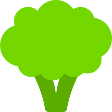 브로콜리 씻는 방법