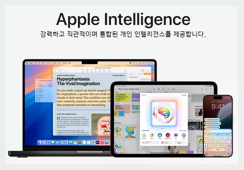 애플 디벨로퍼