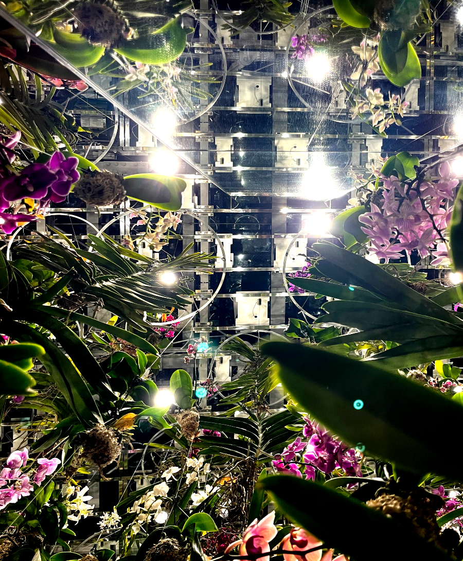 팀랩플래닛 관람 꽃과 나와 하나의 뿌리, 정원은 나와 하나의 몸