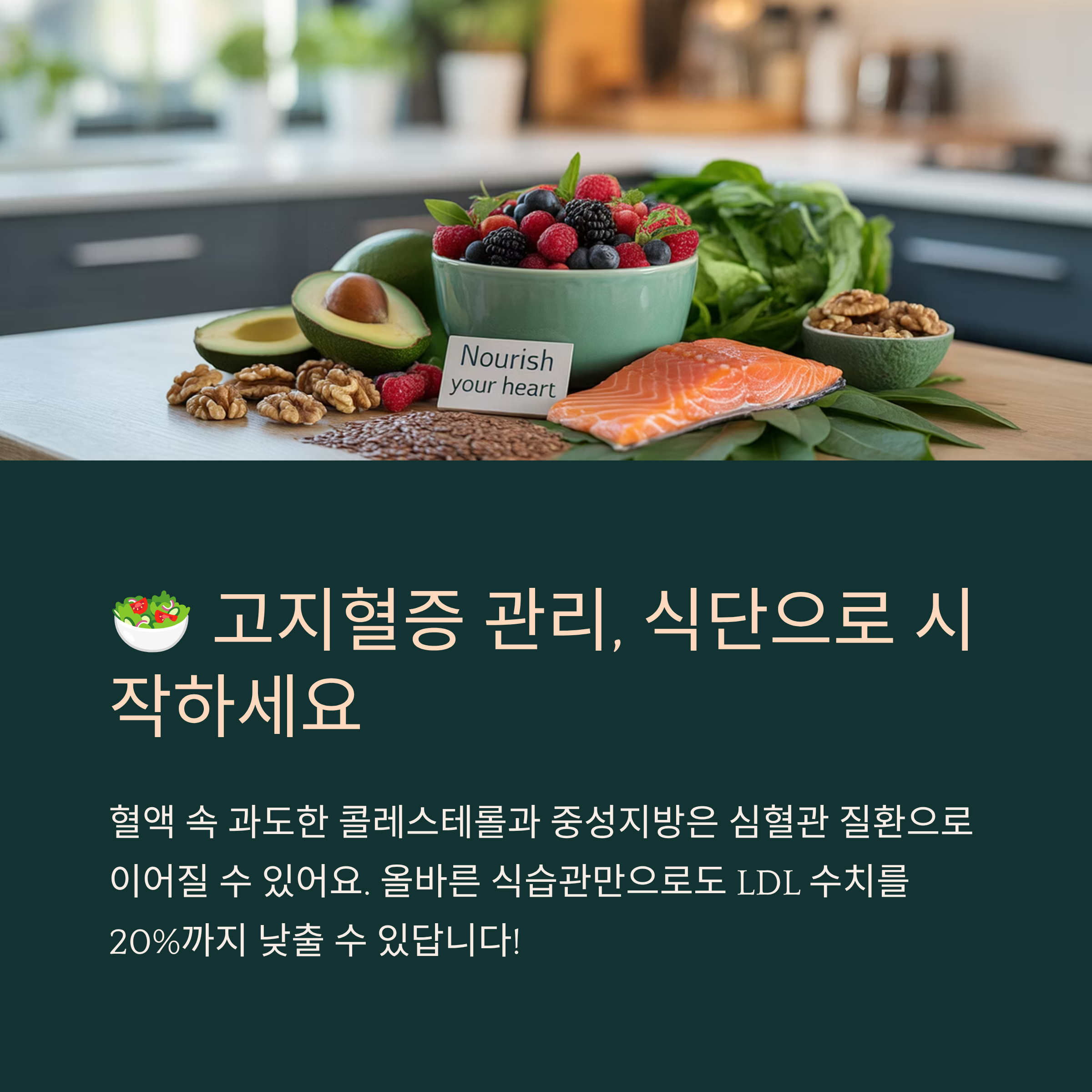 고지혈증에 좋은 식품과 식단 가이드