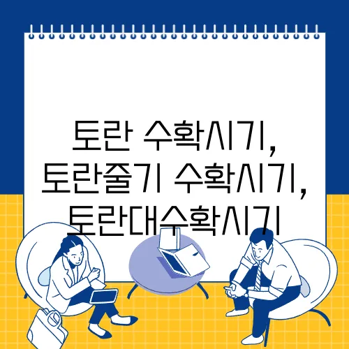 토란 수확시기, 토란줄기 수확시기,
토란대수확시기