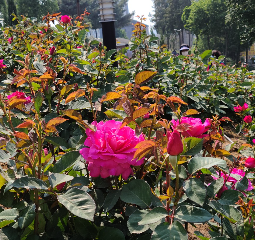 6월 여행지